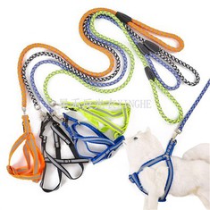 Atstarojoša mājdzīvnieku suņu pavada