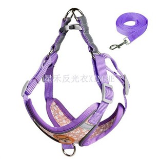 Suns ar drošības atstarojošu siksnu